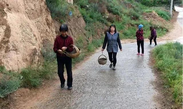今年闰月年天气预测,2020闰月和天气有关吗