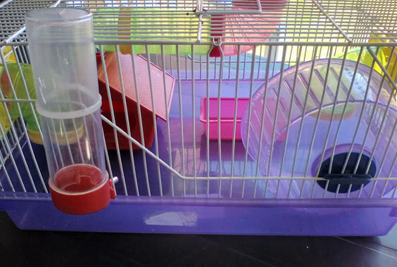 养仓鼠铁丝笼好还是亚克力笼好,养仓鼠基础笼好还是套装好