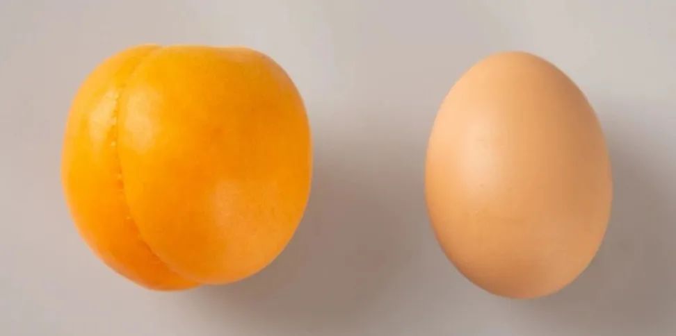 陕西金太阳新鲜杏子,陕西金太阳酸杏子