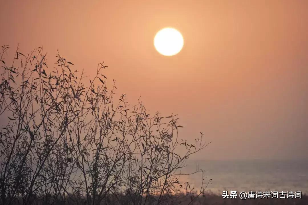 李商隐10句有名的句子,李商隐50首古诗