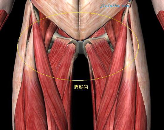 腹股沟疼痛怎么治疗,腹股沟疼痛针灸