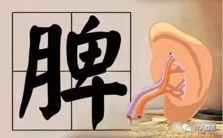 脾功能亢进导致血小板减少怎么办?