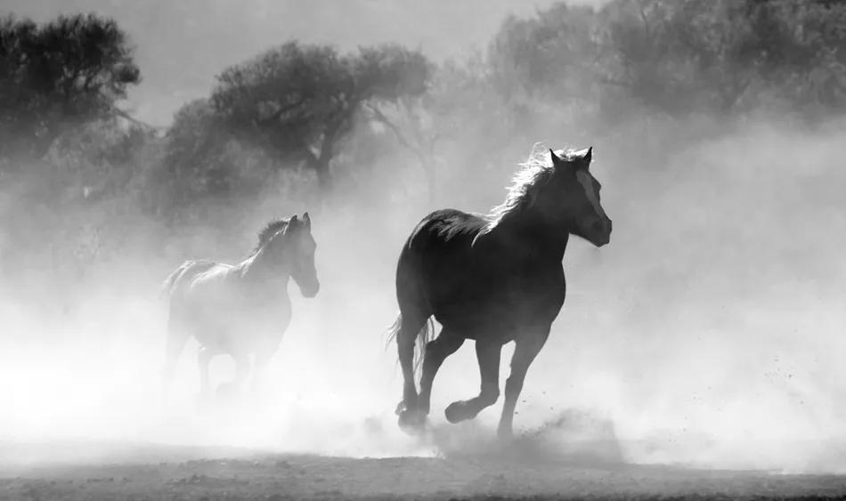 苹果手机游戏广告比安卓还多,苹果游戏广告越来越多