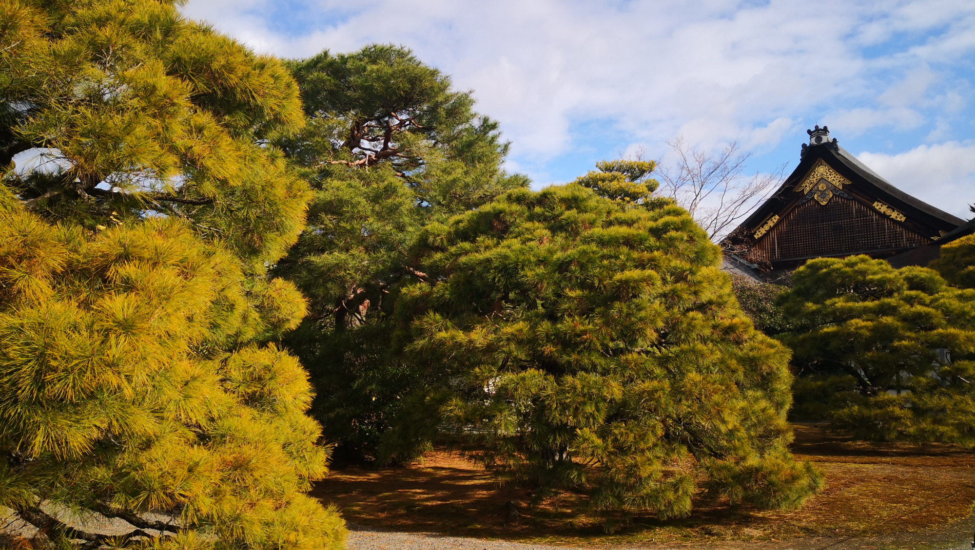 访京都名胜谈芳华变迁,探访日本京瓷