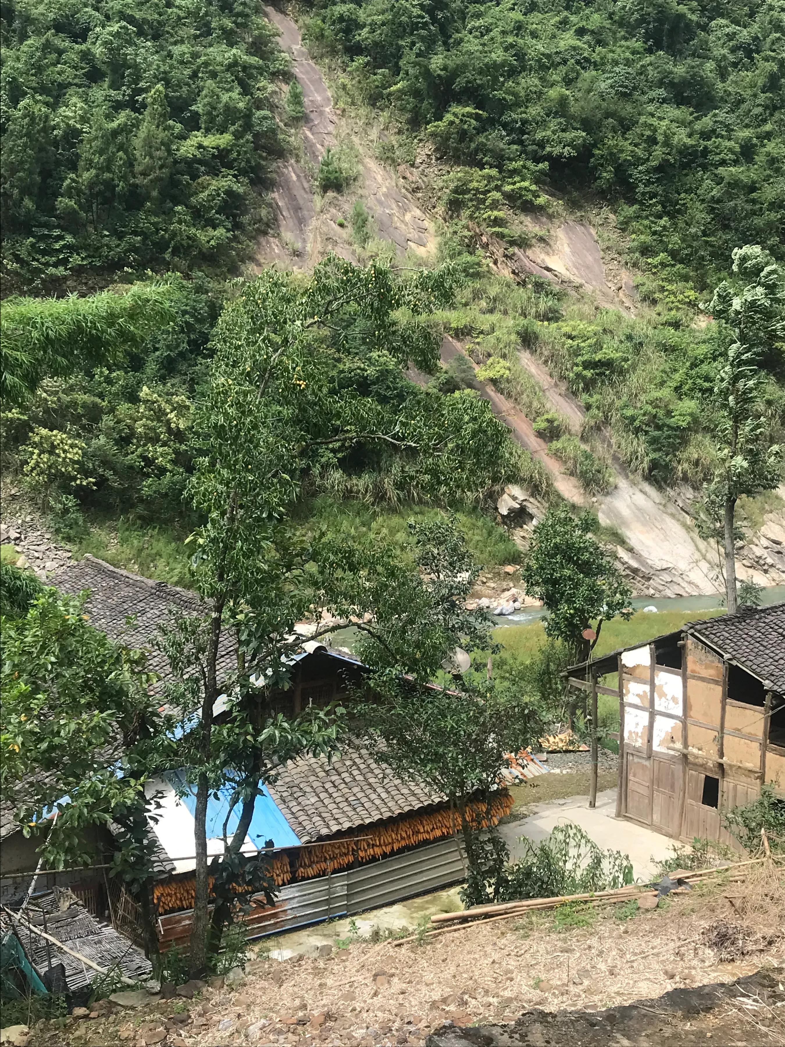 山远近路横斜读音,山远近路横斜青旗沽酒有人家意思