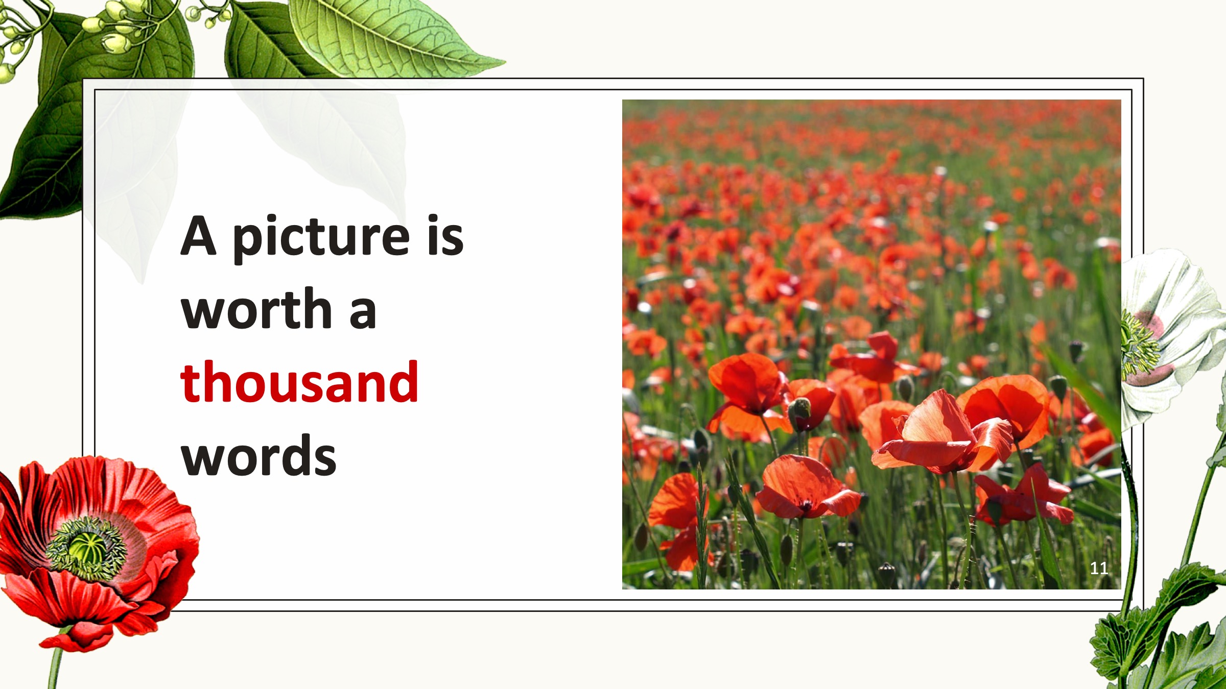 PPT植物插图模板——可免费*载下**，一键替换文字