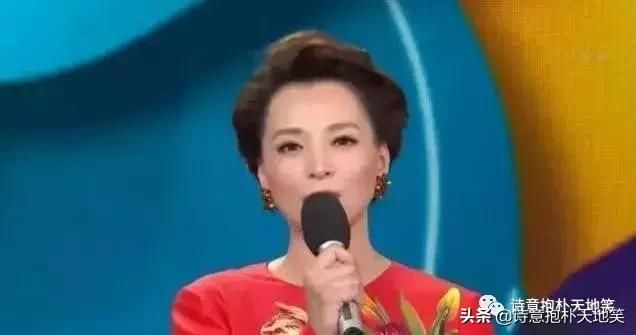 经典咏流传董卿康震,王立群经典诗词100首