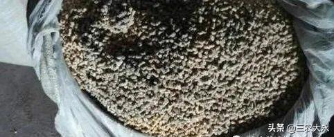 水样粪便、粪便不成形,都是肠炎惹的祸,纯中药组方帮您解决