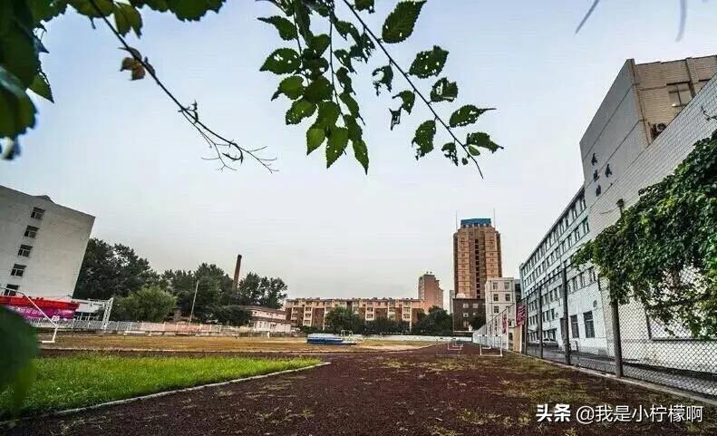 长春金融高等专科学校专业大全,长春金融高等专科学校金融学院