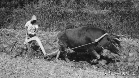 回忆过去珍惜现在展望未来,回忆过去珍惜现在的句子