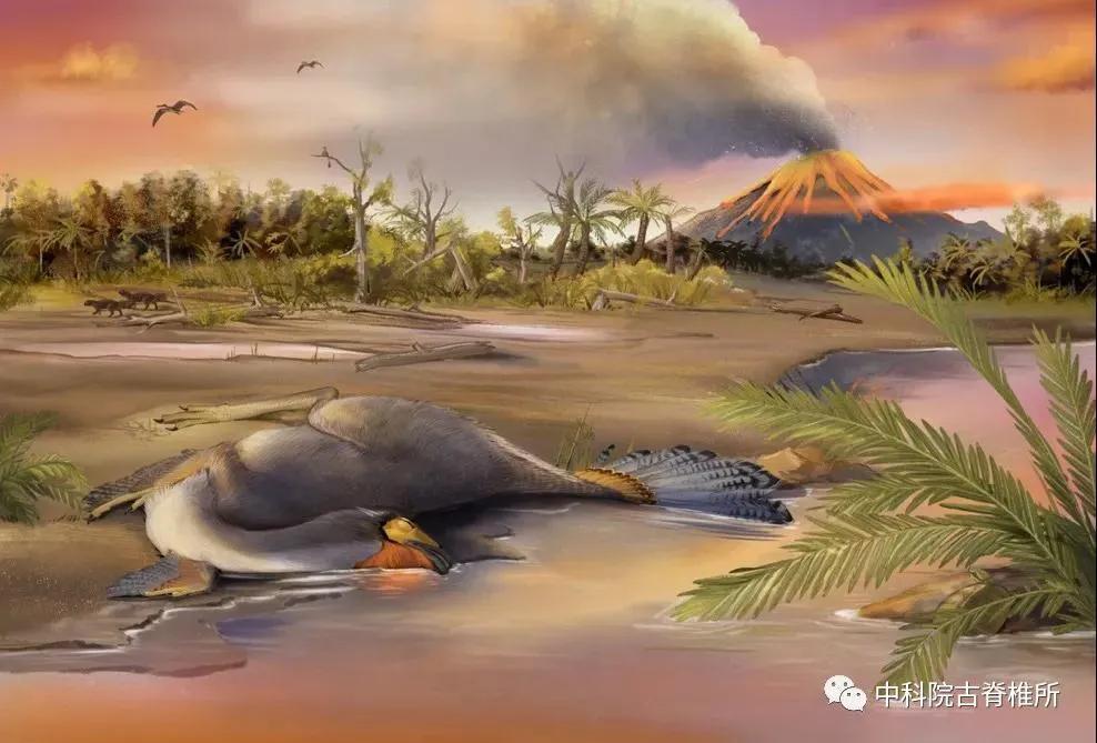 哪些恐龙是在辽西发现的化石,恐龙化石里可以提取恐龙的dna吗