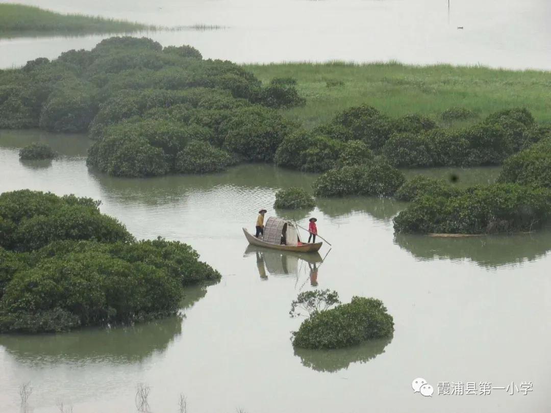 霞浦一中高一新生夏令营,霞浦县夏令营
