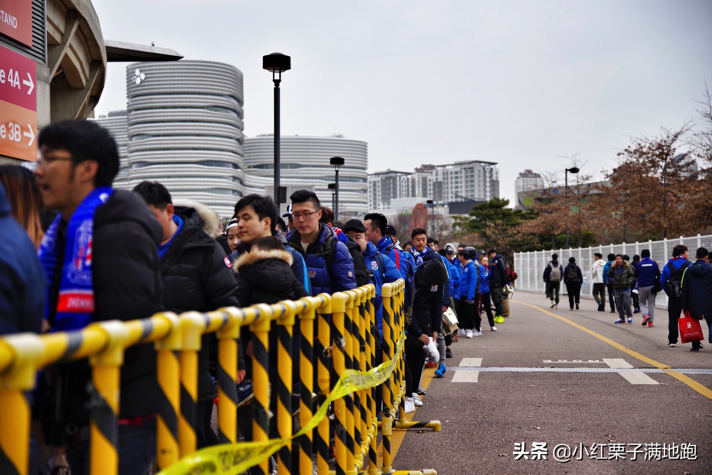 疫散花开张家界,疫散花开欢迎归来