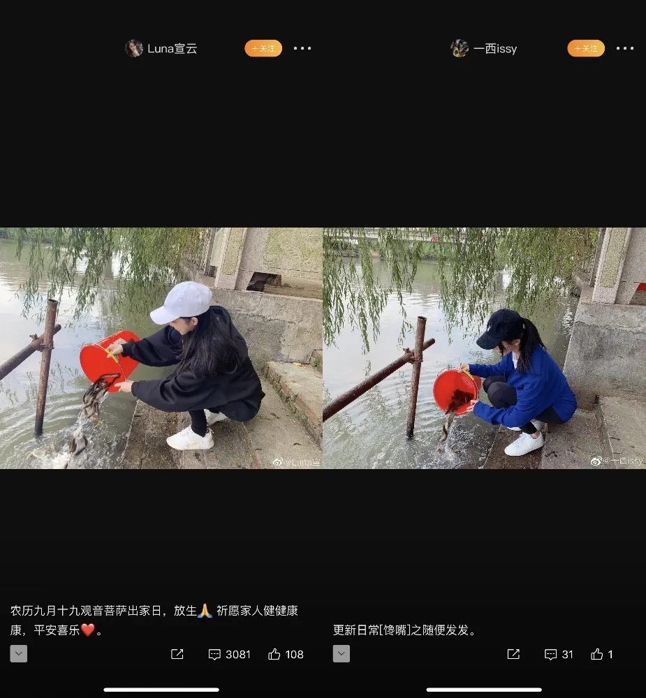 我报了3999元的绿茶屌速成班，后悔