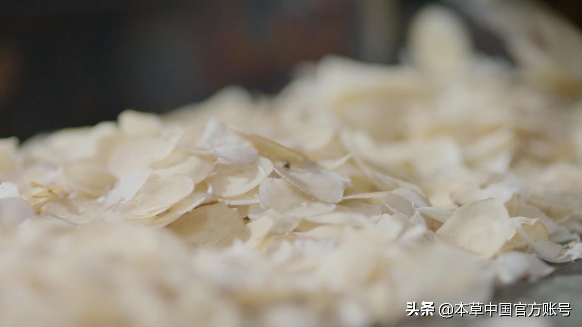 【本草百科·药知鼎——白芍】朵腴花硕，不止于美丽的外表