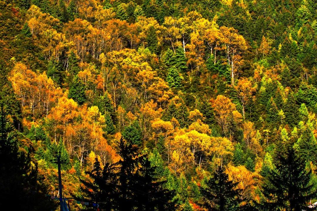 川西最美自驾游环线,川西最美越野路线
