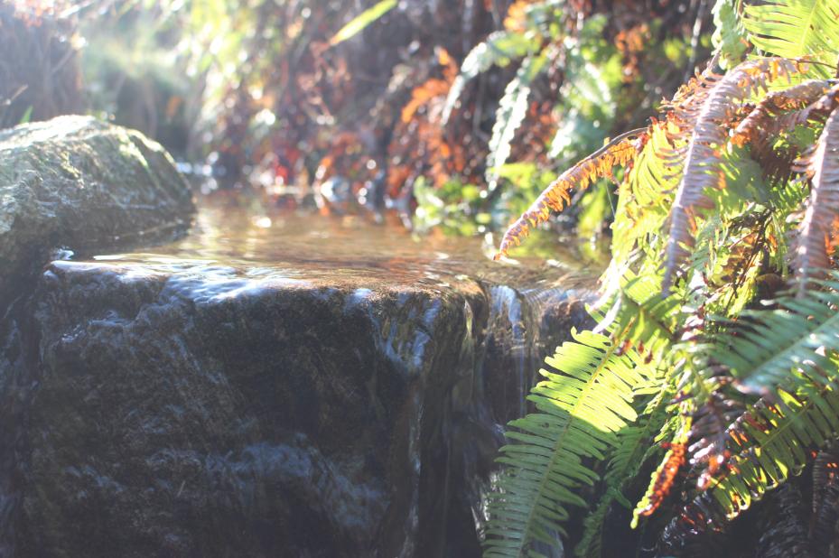 张廖官陂厚嗣坑的解字注释字面解读