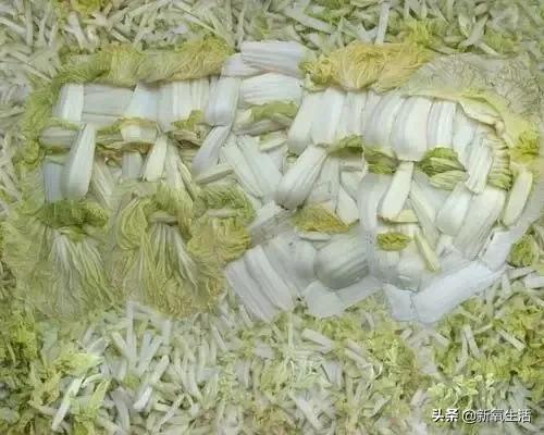 蔬菜成精了搞笑视频,乐高变形蔬菜