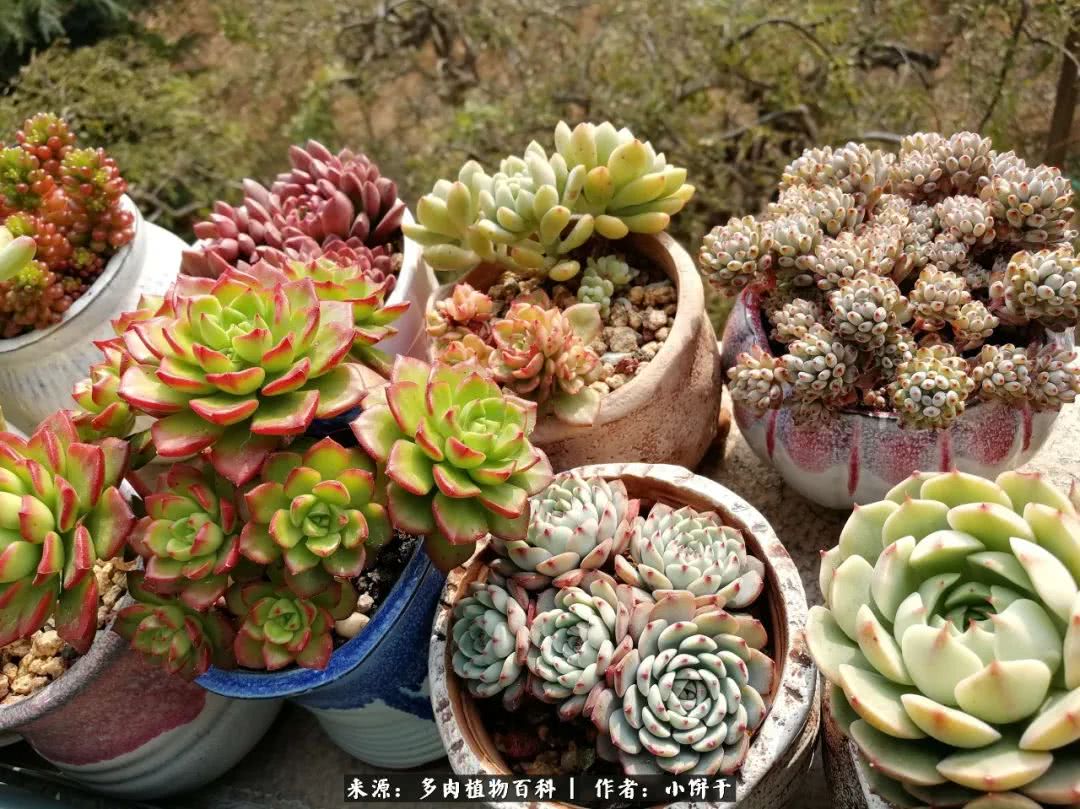 无肉不欢的肉瘾少女，日日沉迷于美色无法自拔！