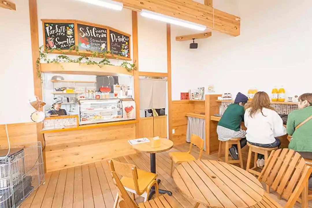 行乐携熊本市政府，又送来新年重磅福利团，仅招募1人