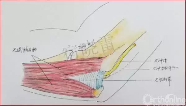 手绘科普视频,手绘类科普