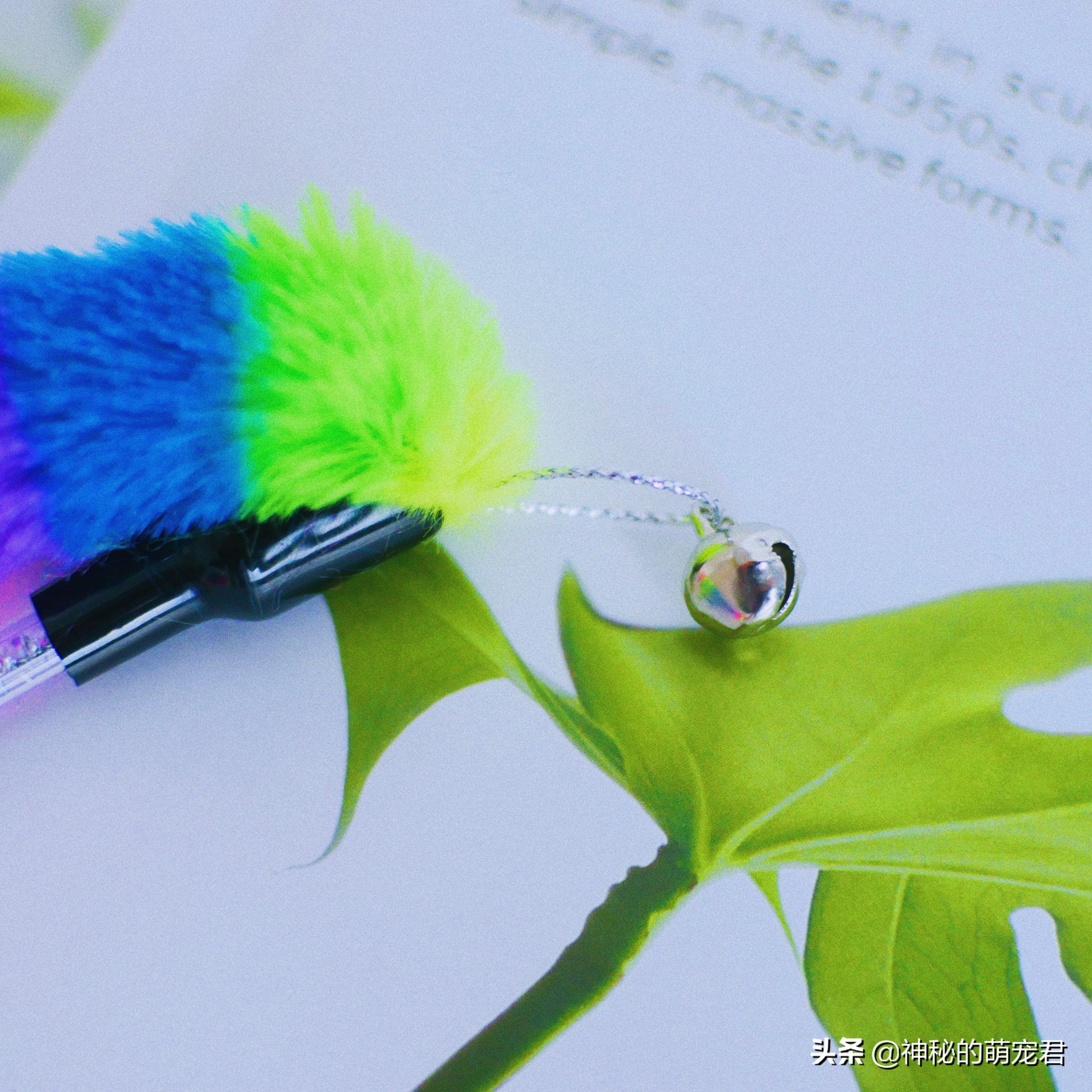 什么逗猫棒猫咪会玩,怎么做猫咪玩的逗猫棒