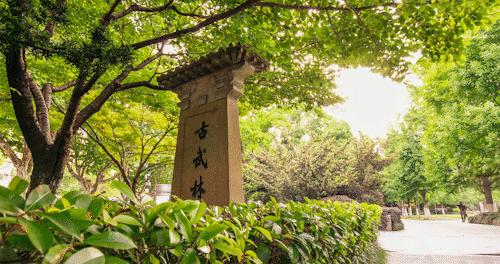 幸福浙江论文1500字,幸福杭州建设思考与路径