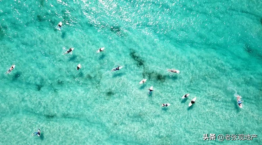 渔民说出海鲜内幕,直播海鲜市场买海鲜骗局曝光