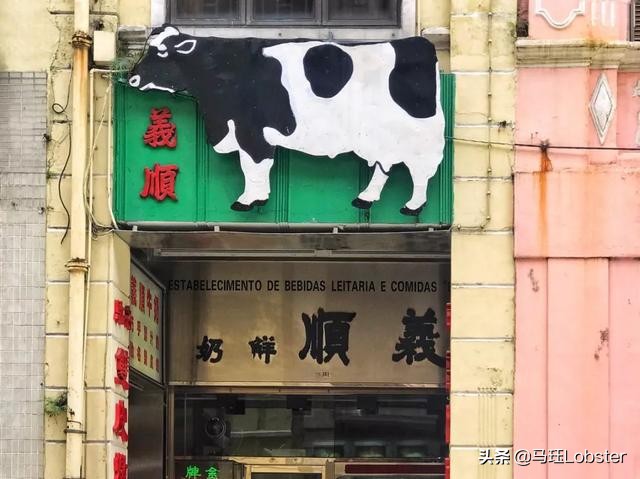 澳门当地人吃的蛋挞,在澳门吃着蛋挞超开心