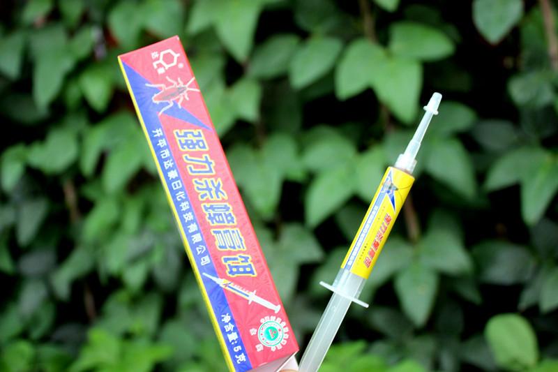 大自然德国小蠊蟑螂的克星,褐斑大蠊蟑螂怎么除