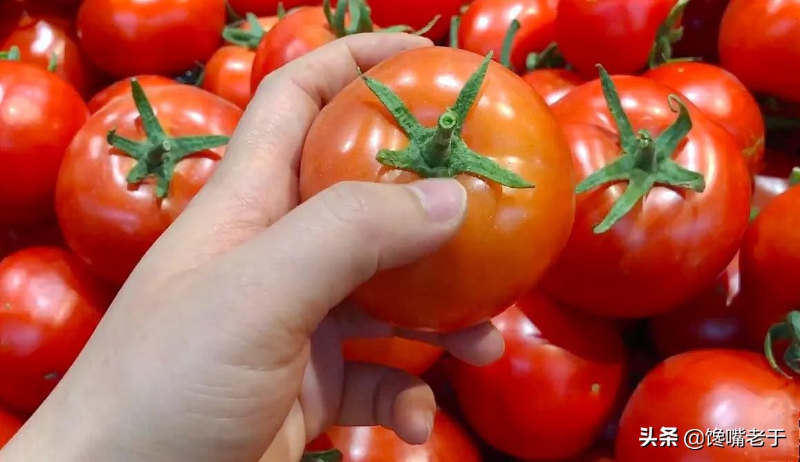 怎么挑西红柿又甜又不酸,现在的西红柿都那么硬