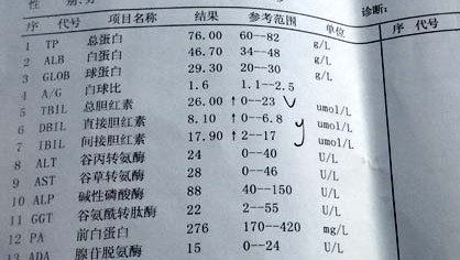 肝胆湿热引起胆红素升高吃什么药,长期吃药引起总胆红素偏高怎么办