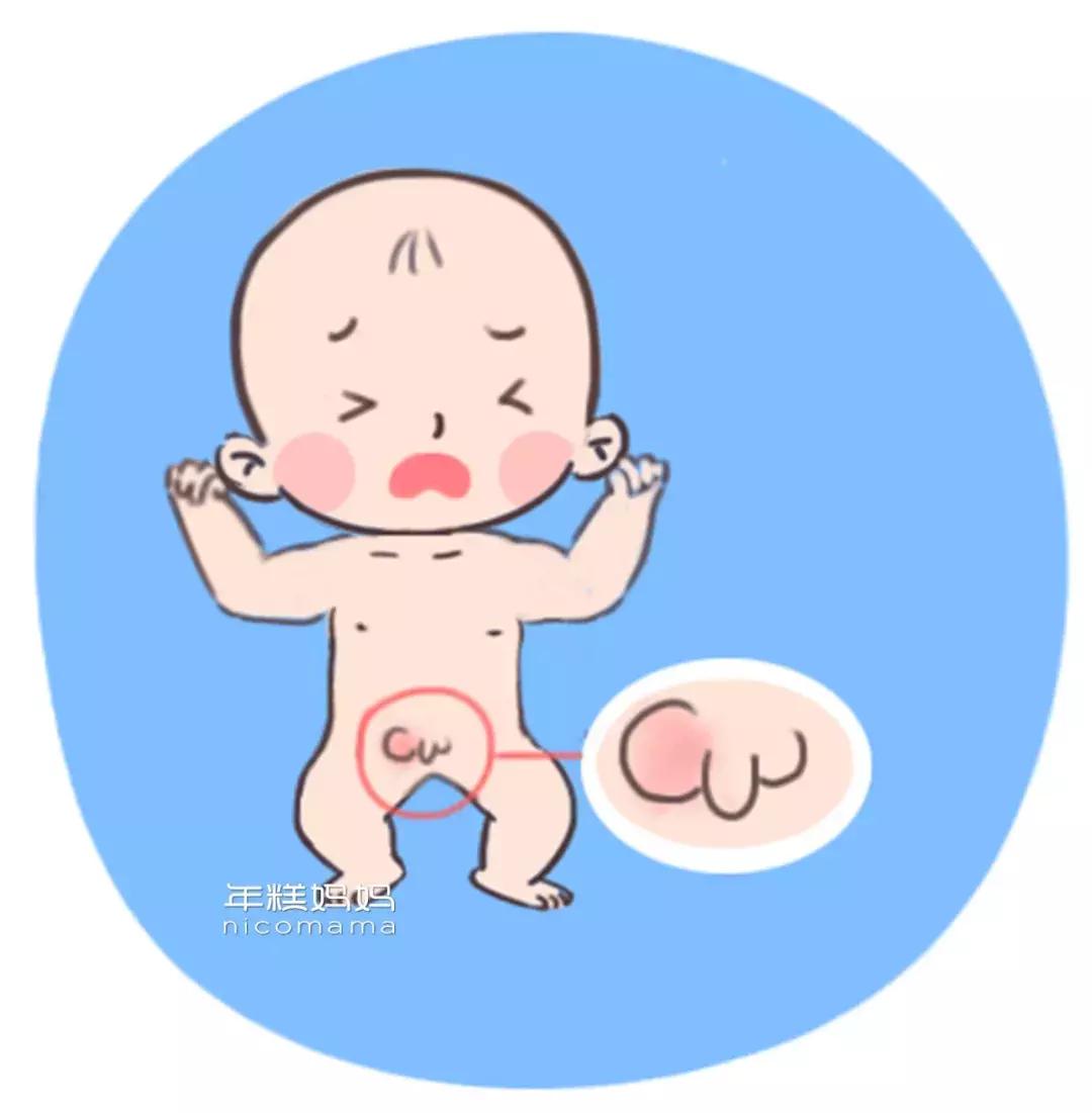 性教育的根本任务是什么,性教育要具体到什么程度