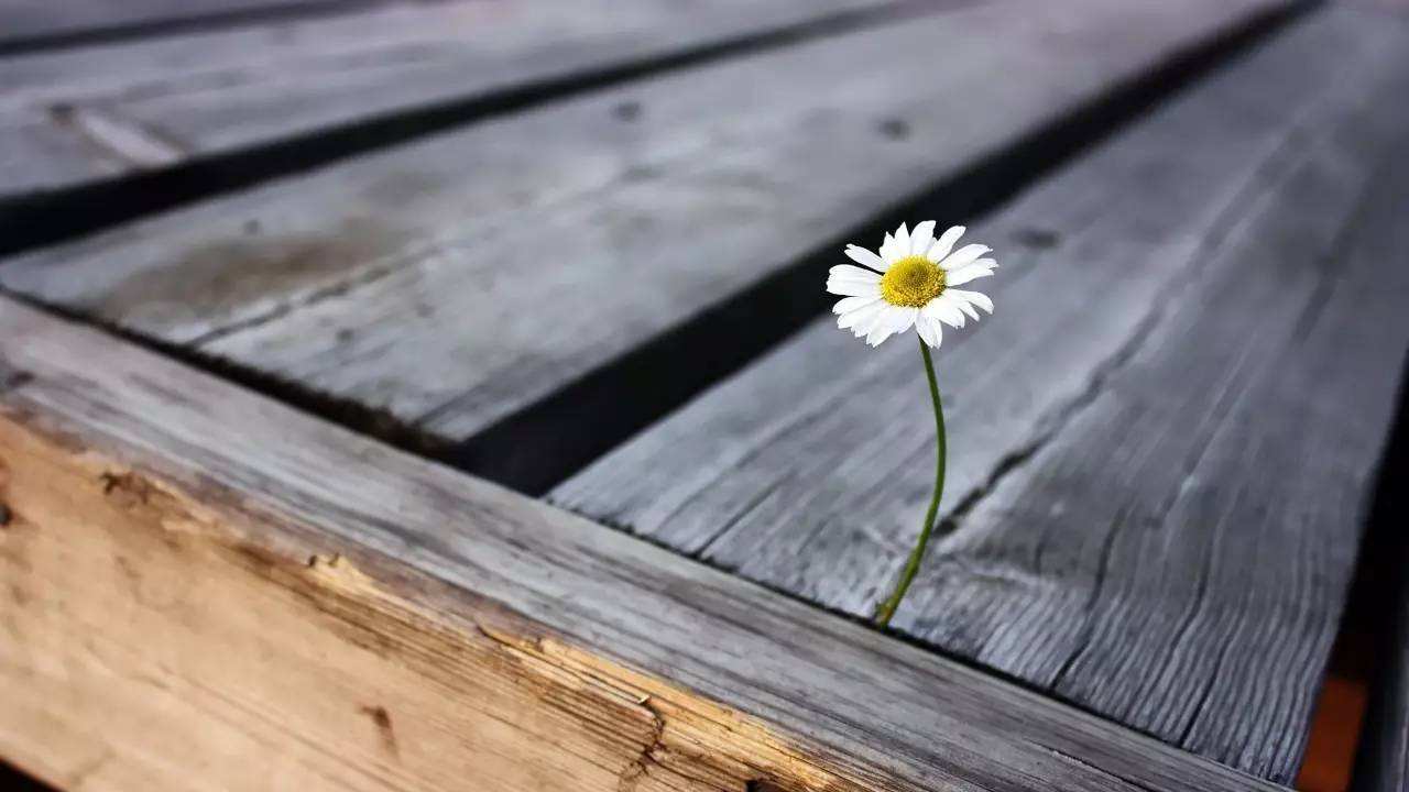 心理学家具有哪些素质特征,心理学家有什么特殊的能力