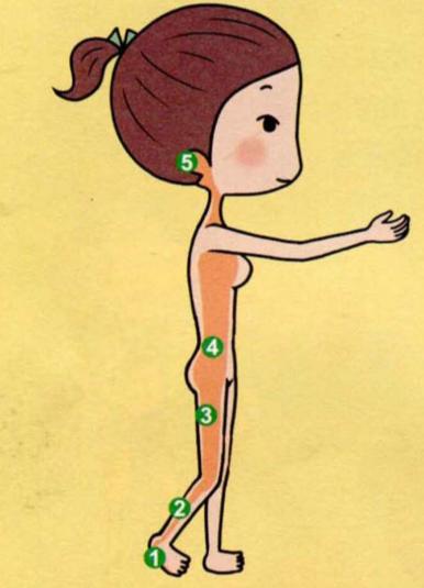 瑜伽初学在家练怎么拉筋拉韧带,瑜伽拉筋会不会把筋拉的没有弹性