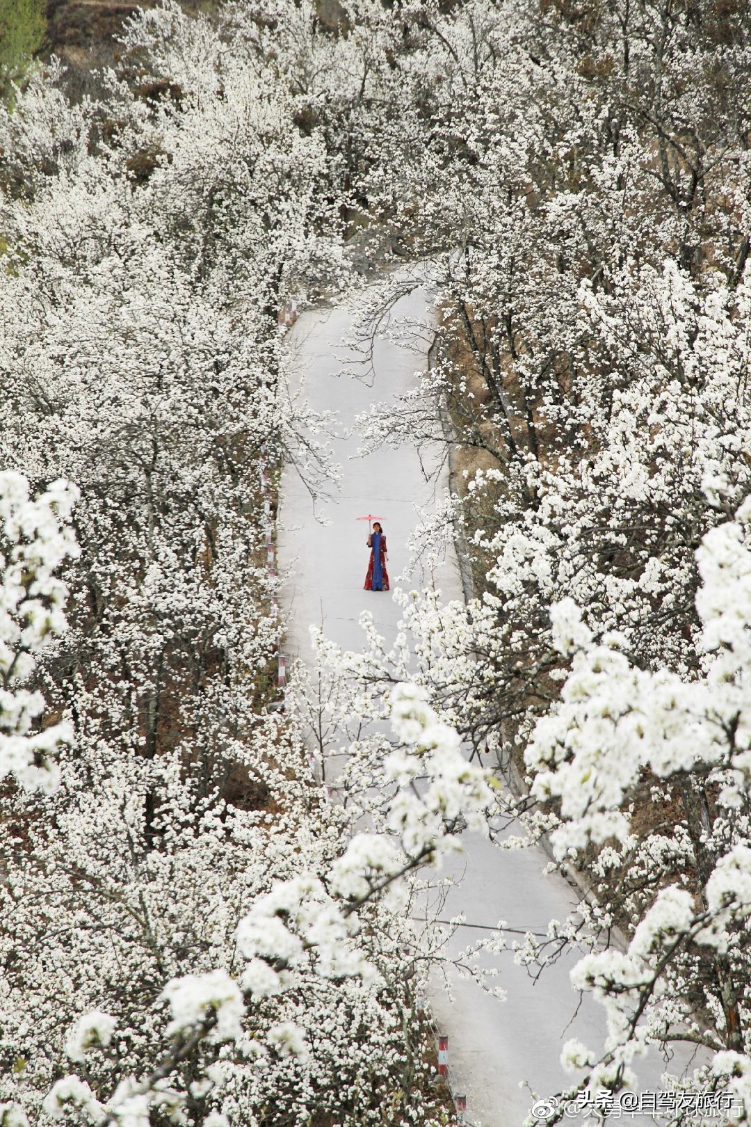 8月最佳旅行地推荐自驾游,4-5月份最佳的自驾短途旅行