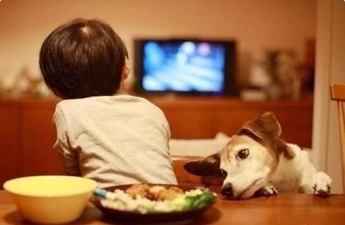 孩子爱看电视你是如何应对,孩子爱看动画片不学习