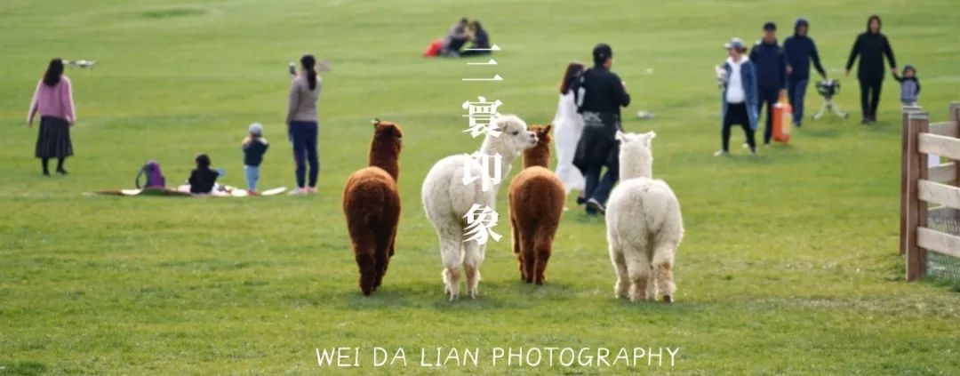 隐匿于大连的这片清澈之地，看的是蓝天白云，呼吸的是草木芬芳