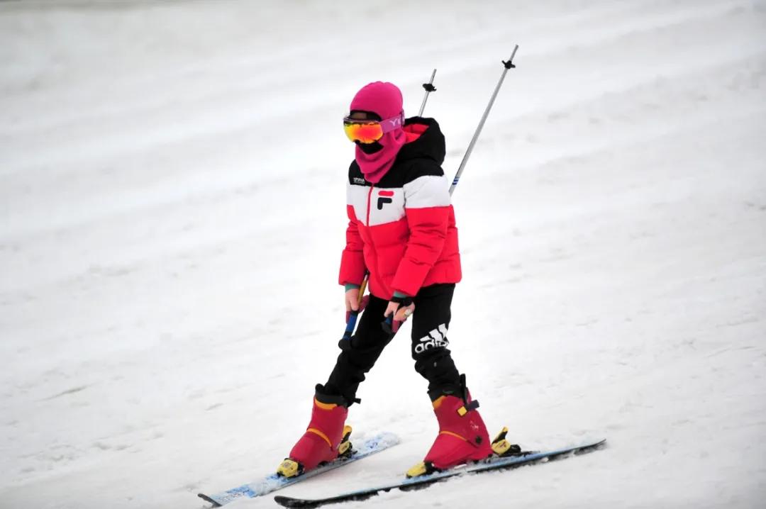 萌翻了原视频,萌翻了