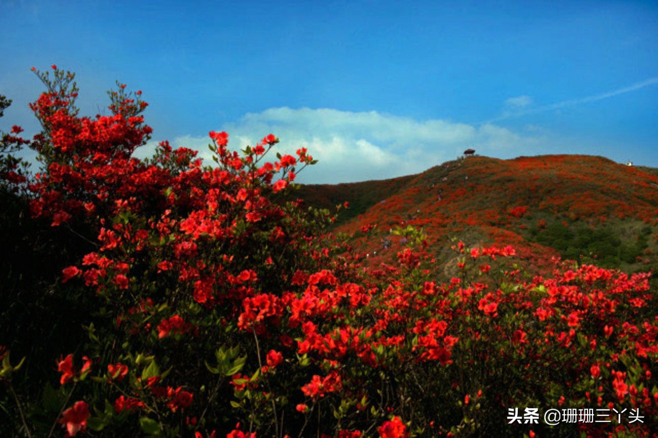 广东没有存在感的县城,广东最后一片净土