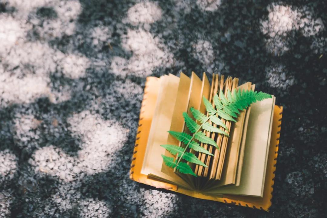 高考正确套路,高考各科学习思路是一样的