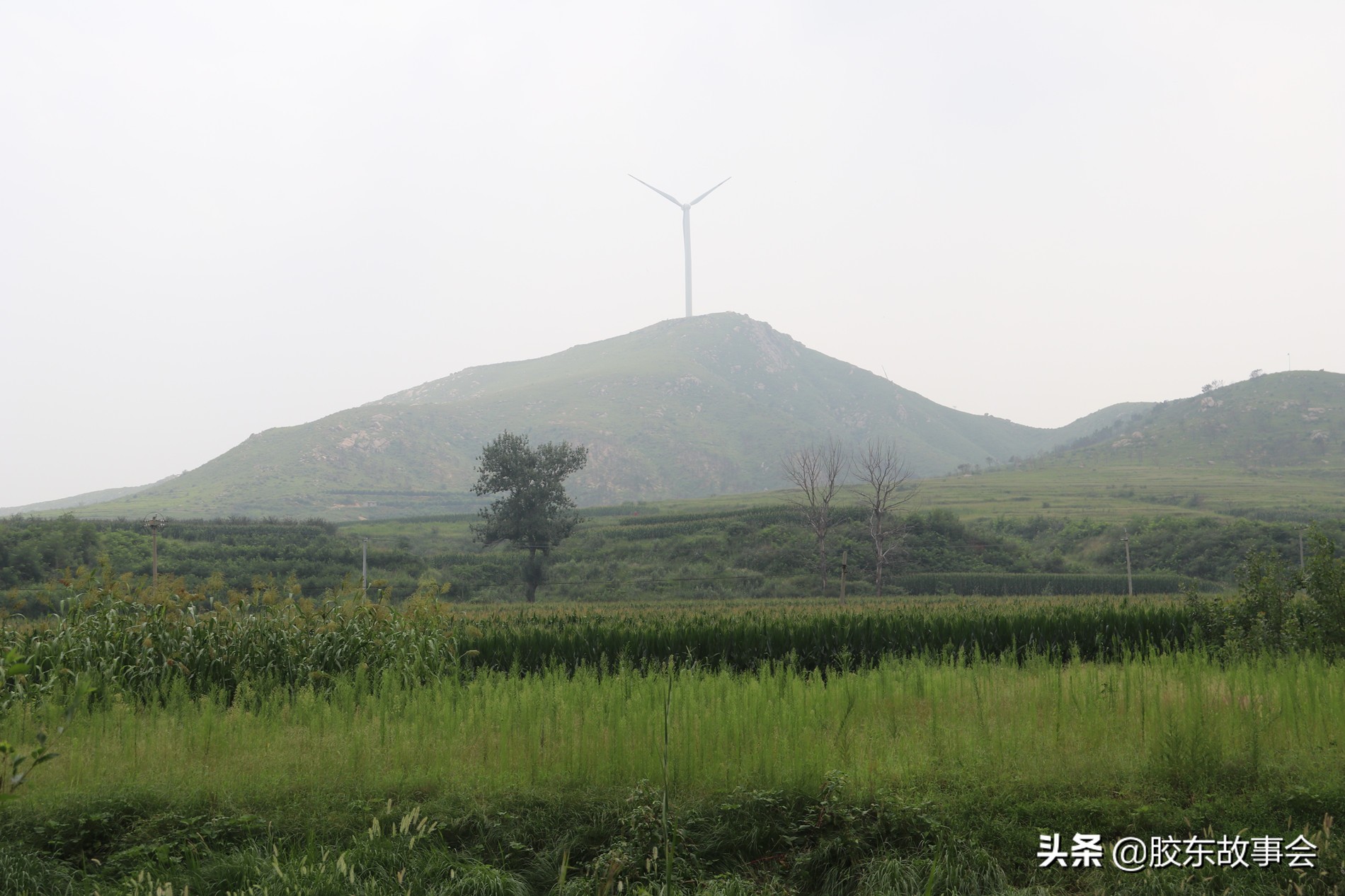 莱阳市胶东乡村游记,航拍胶东丘陵深处的一个小山村