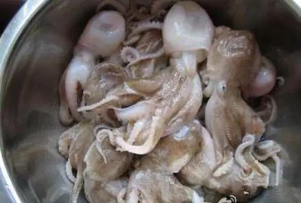 开海特价海鲜,开海的海鲜视频