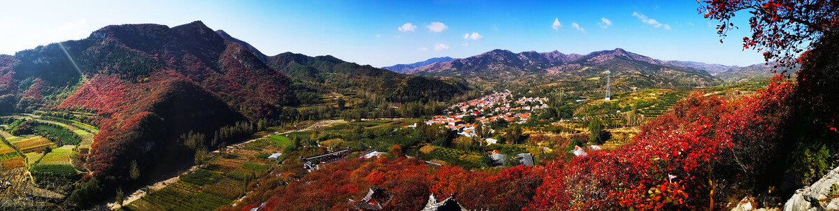 齐鲁大地之淄博（人口分布情况）：张店区79.5万人，临淄64.9万人