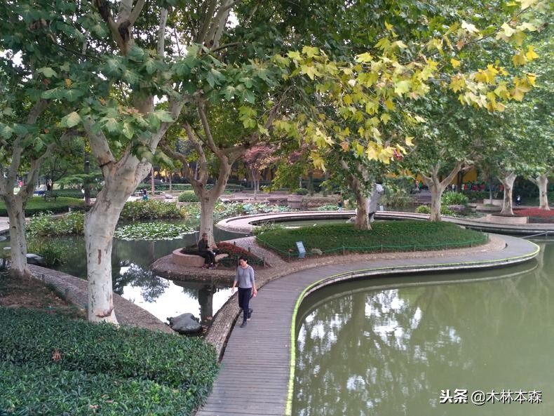 去常州天宁寺拜啥,去天宁寺坐几路车