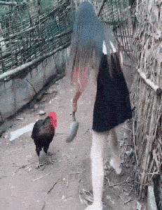 球不是这样踢滴搞笑图片,足球趣图搞笑图片