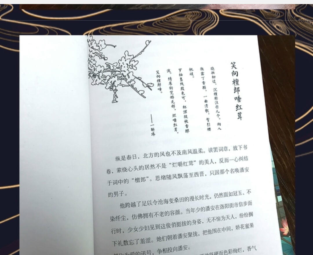 苏轼名言经典语录,苏轼十句经典语录