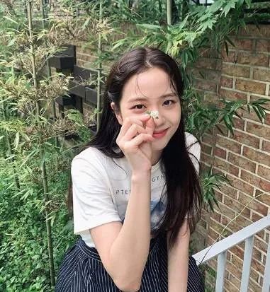 blackpink韩国爱豆粉丝,blackpink的韩国明星粉丝