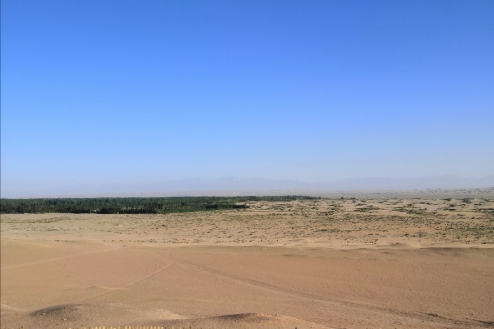 青甘大环线高反,旅游青甘大环线