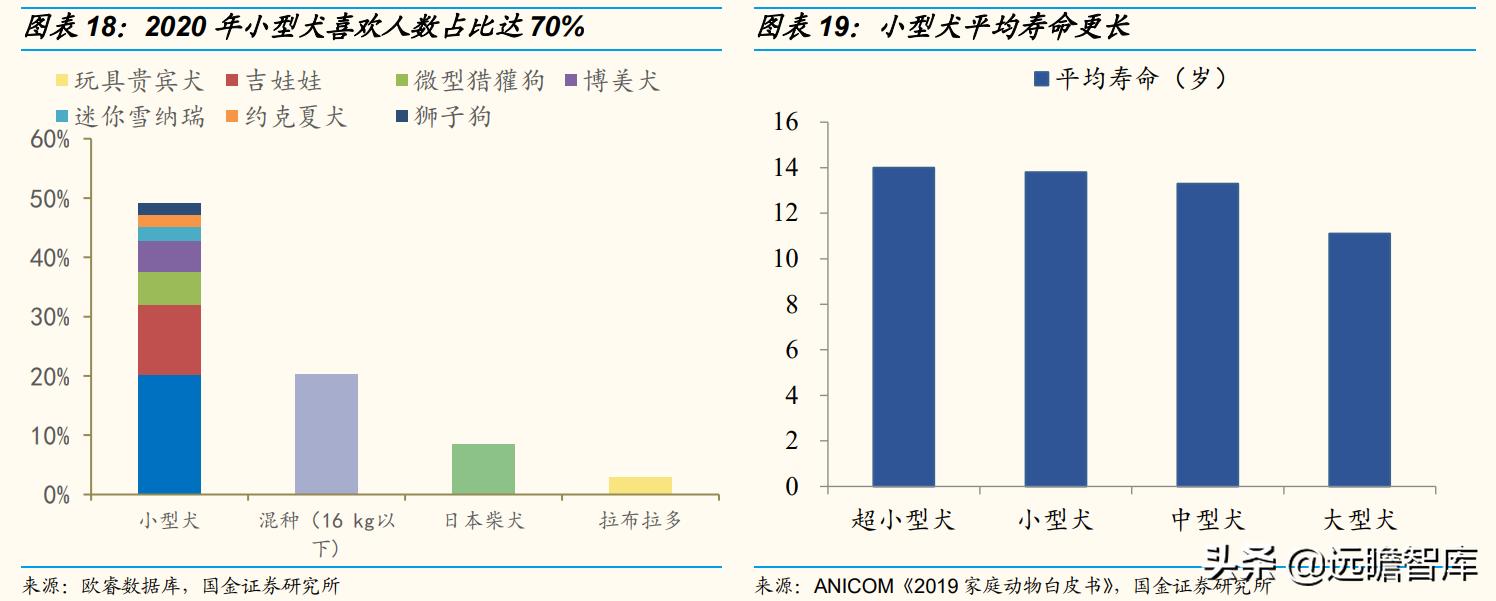 国内宠物产品研究现状及趋势分析,宠物行业新国货